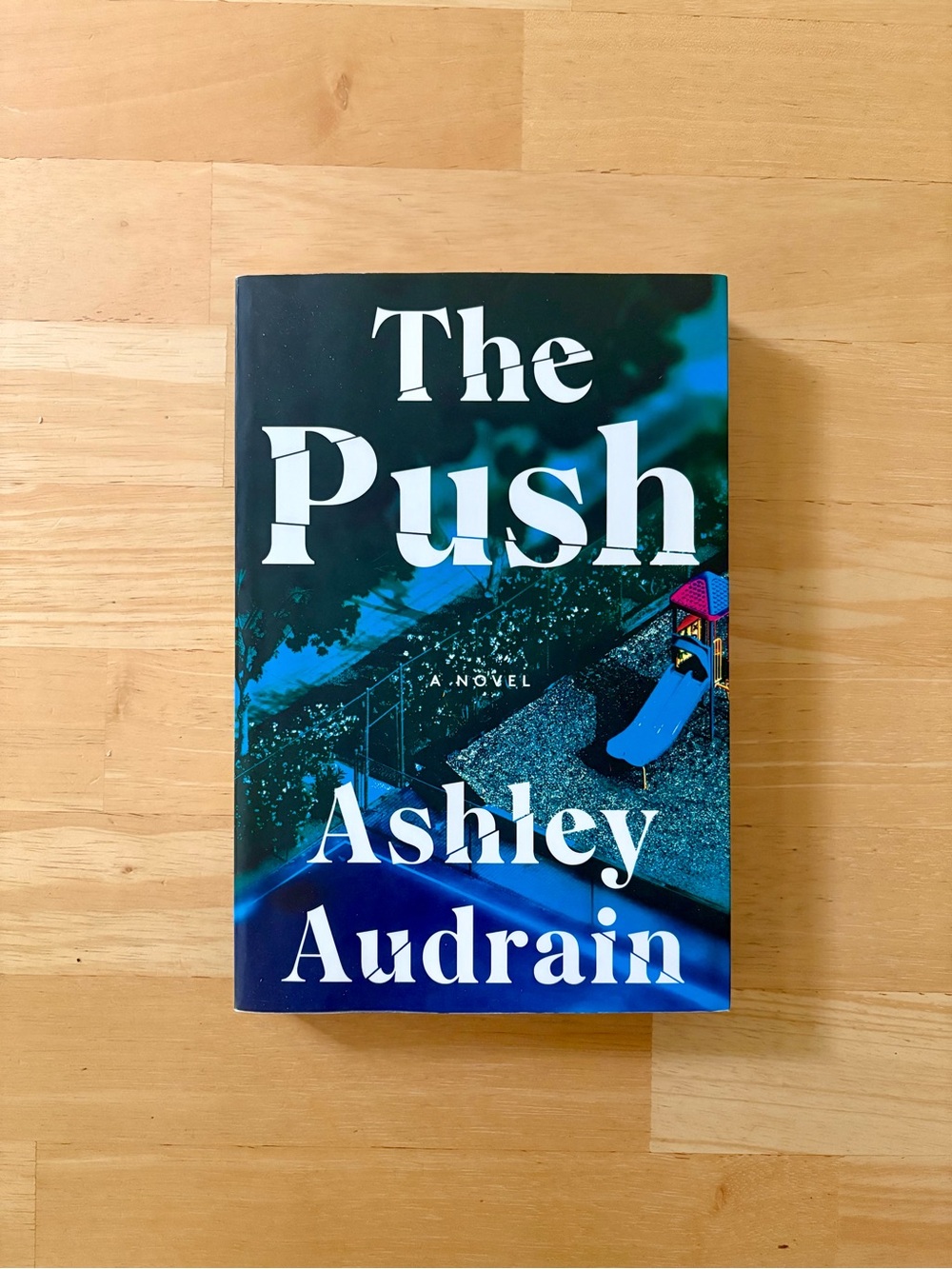 The Push by Ashley Audrain Literary Mystery Thriller Paperback Novel